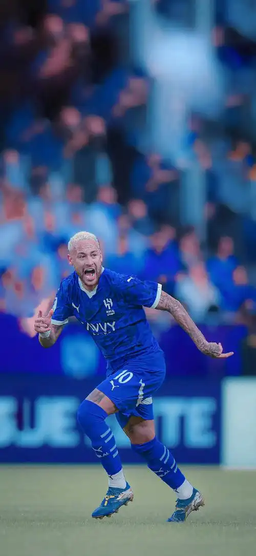 分析过往比 分析过往比